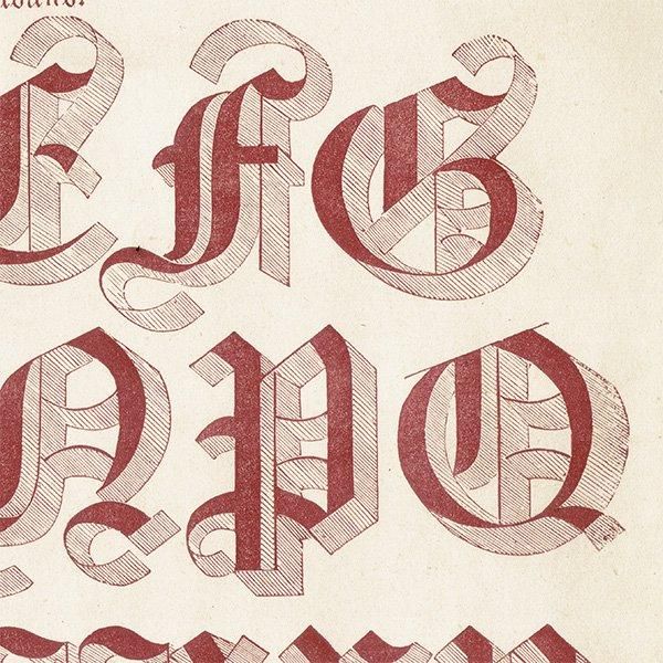 ե٥å Large Old English Riband ʸ ݥե ꥹ ƥץ 1900ǯ 1037