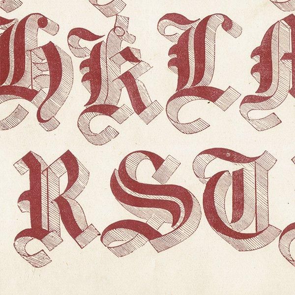 ե٥å Large Old English Riband ʸ ݥե ꥹ ƥץ 1900ǯ 1037