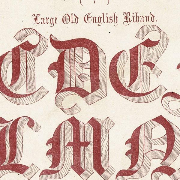 ե٥å Large Old English Riband ʸ ݥե ꥹ ƥץ 1900ǯ 1037