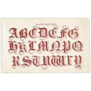 ե٥å Large Old English Riband ʸ ݥե ꥹ ƥץ 1900ǯ 1037