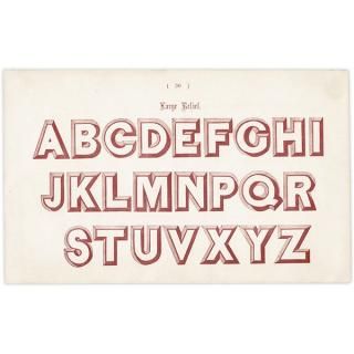 ե٥å Large Relief ꡼ ʸ ݥե ꥹ ƥץ 1900ǯ 1039