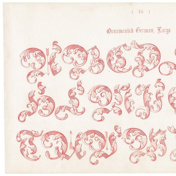 ե٥å Ornamented German, Large ʸ ݥե ꥹ ƥץ 1900ǯ 1043