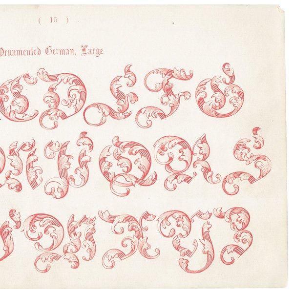 ե٥å Ornamented German, Large ʸ ݥե ꥹ ƥץ 1900ǯ 1043