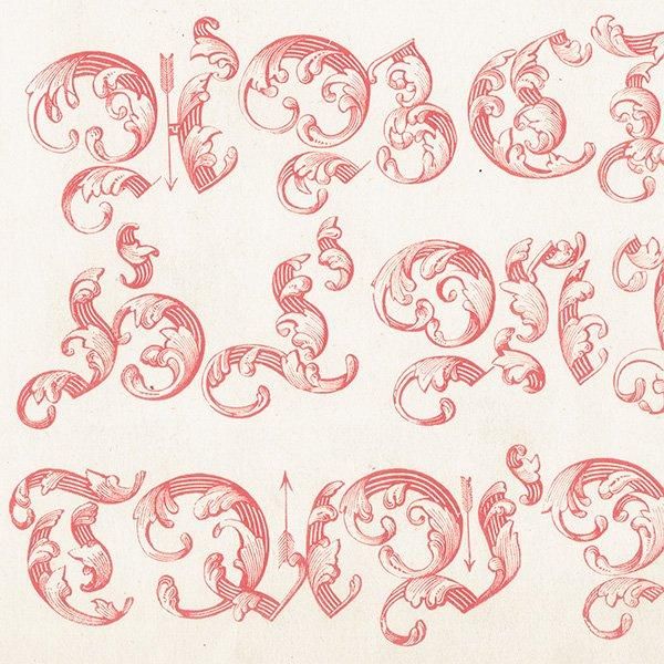 ե٥å Ornamented German, Large ʸ ݥե ꥹ ƥץ 1900ǯ 1043