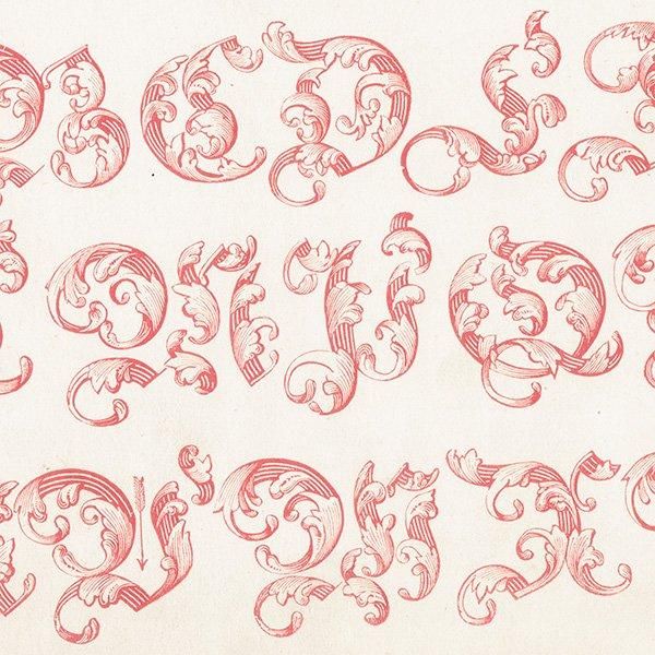 ե٥å Ornamented German, Large ʸ ݥե ꥹ ƥץ 1900ǯ 1043