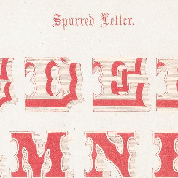 ե٥å Spurred Letter ʸ ݥե ꥹ ƥץ 1900ǯ 1046