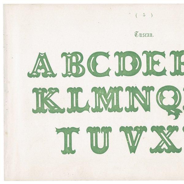 ե٥å Tuscan  ʸ ݥե ꥹ ƥץ 1900ǯ 1047