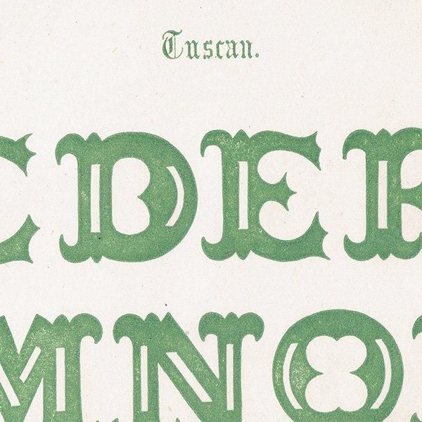 ե٥å Tuscan  ʸ ݥե ꥹ ƥץ 1900ǯ 1047