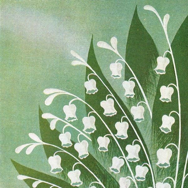 ե ơ / CARON   ߥ奲  ʥơ1958ǯ 0395