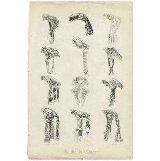Le Monde Elegant ʥ롦ɡ쥬˥إåɥɥ쥹  1867ǯ եå󻨻 0646