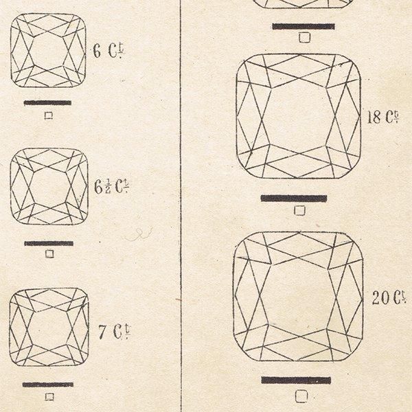 С /  ɤ礭䵱 ƥץ 1898ǯ ꥹ  | 1018