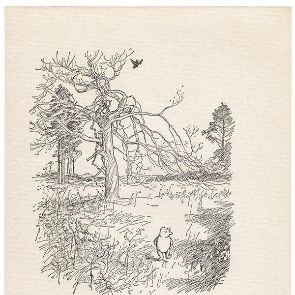 Winnie-the-Pooh ޤΥס ơץ 1965ǯǤʥ饷åס 2101