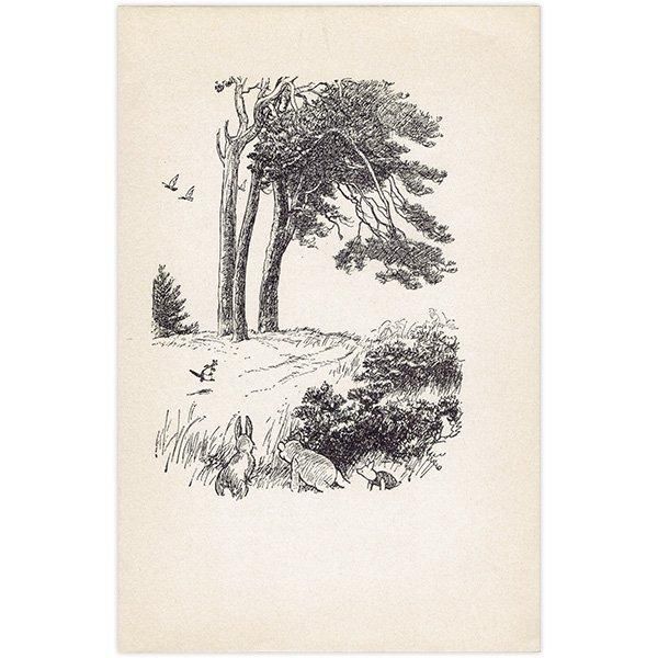 Winnie-the-Pooh ޤΥס ơץ 1965ǯǤʥ饷åס 2102
