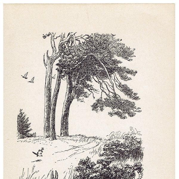Winnie-the-Pooh ޤΥס ơץ 1965ǯǤʥ饷åס 2102