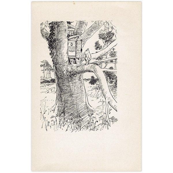 Winnie-the-Pooh ޤΥס ơץ 1965ǯǤʥ饷åס 2106