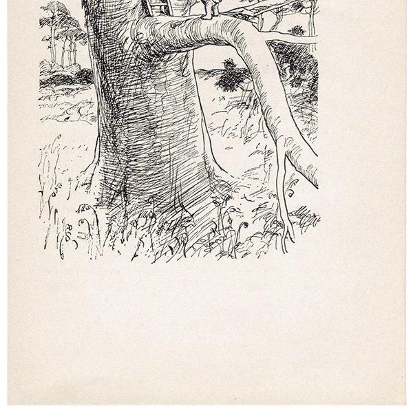 Winnie-the-Pooh ޤΥס ơץ 1965ǯǤʥ饷åס 2106
