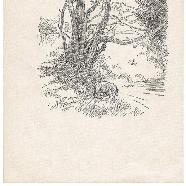 Winnie-the-Pooh ޤΥס 衼 ơץ 1965ǯǤʥ饷åס 2109