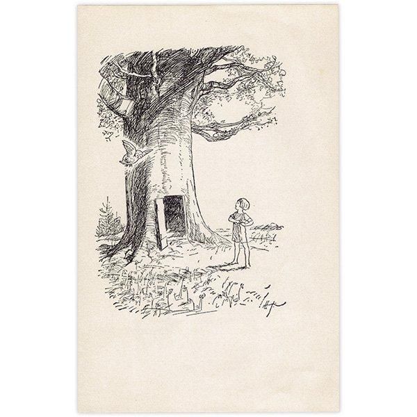 Winnie-the-Pooh ޤΥס ơץ 1965ǯǤʥ饷åס 2110