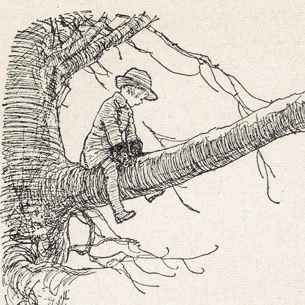 Winnie-the-Pooh ޤΥס ơץ 1965ǯǤʥ饷åס 2113