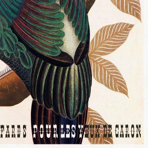 ե ơ / CARON   ʥơ1946ǯ 0502