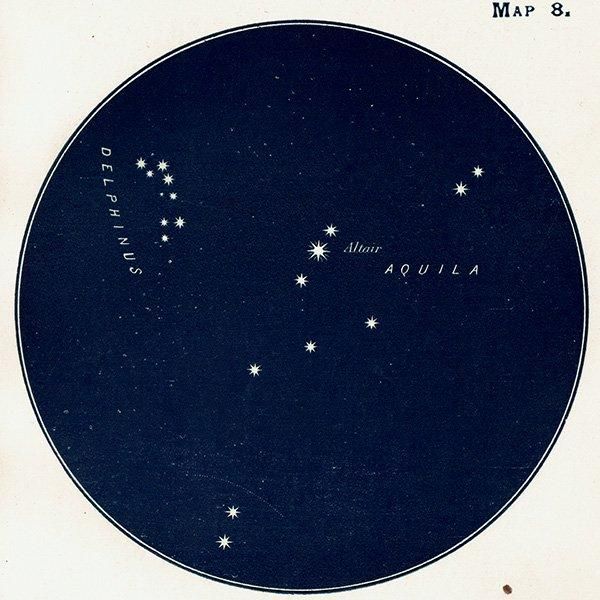 ŷʸء Aquilaʤ路¡ˤ Capricornusʤ䤮¡ˤ Delphinusʤ뤫¡ Map8 1909ǯ ꥹ ƥ ץ | 1008