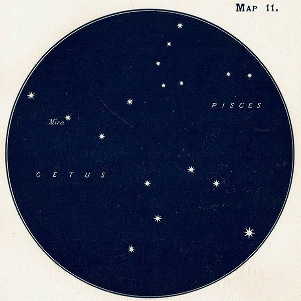 ŷʸء Piscesʤ¡ˤ Cetusʤ¡Map11 1909ǯ ꥹ ƥ ץ | 1011
