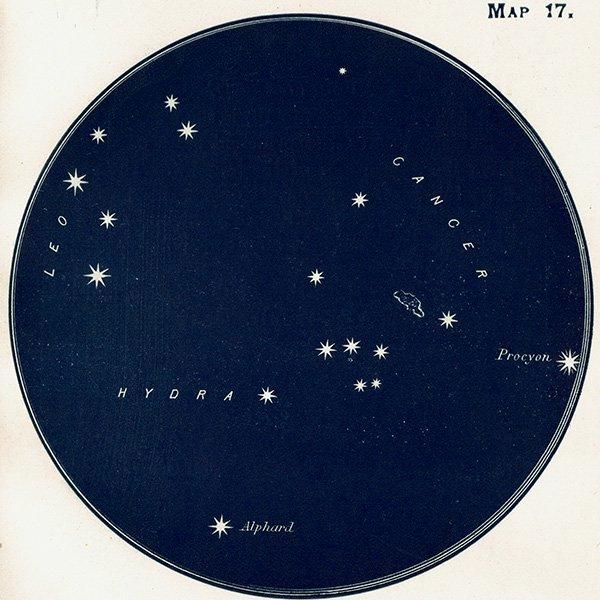 ŷʸء Cancerʤ˺¡HydraʤߤؤӺ¡Map17 1909ǯ ꥹ ƥ ץ | 1017
