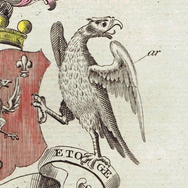 ѹ² Godolphin Lord Godolphinʥɥե󶪡ˡ   ƥ ץ 1779ǯ  |  1229