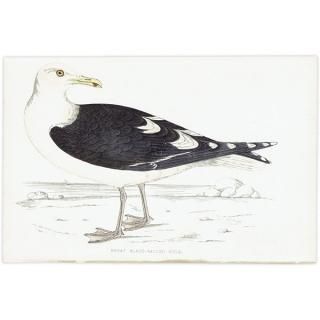 鳥(Birds) - インテリアにプラスしたくなる アンティーク と 鳥(Birds) - インテリアにプラスしたくなる アンティーク と