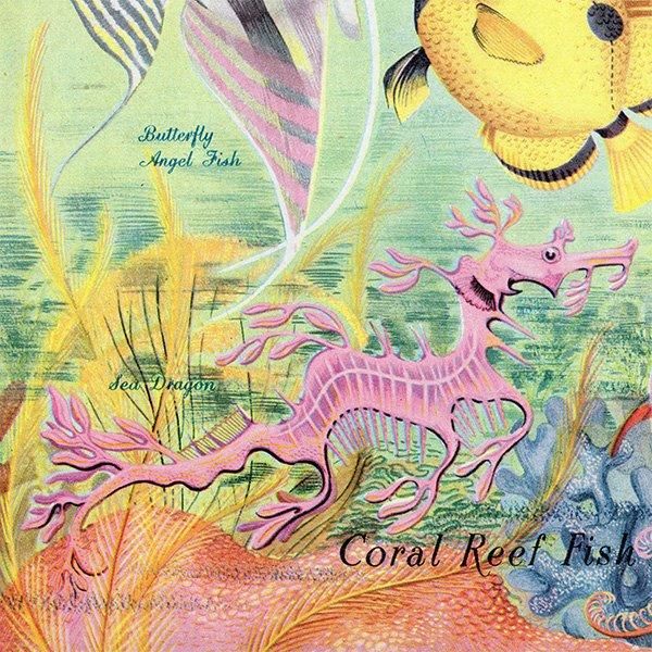 Coral Reef Fish 󥴾̤ε 1948ǯ ꥹ ơץ ʪ γ 1001