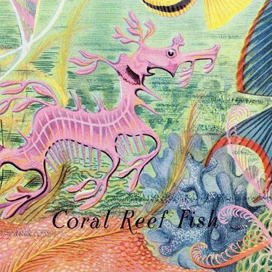 Coral Reef Fish 󥴾̤ε 1948ǯ ꥹ ơץ ʪ γ 1001
