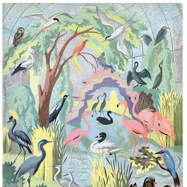 The Bird Pool դĻ 1948ǯ ꥹ ơץ ʪ Ļγ 1002