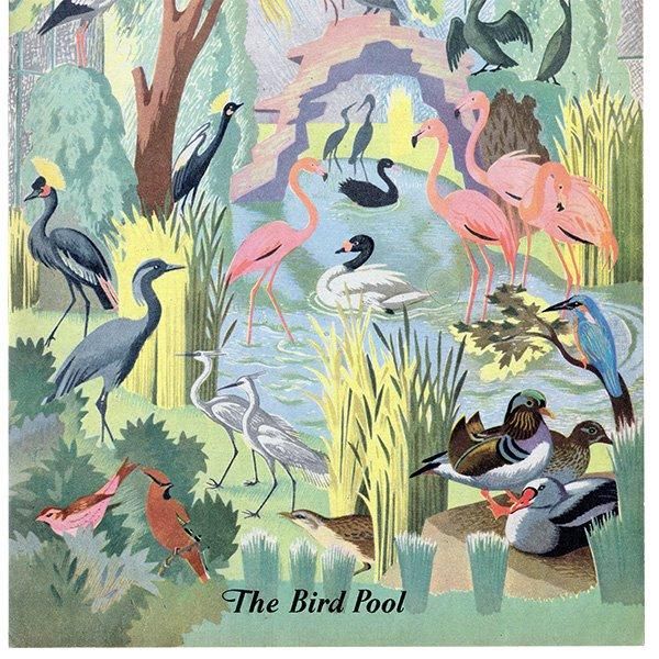 The Bird Pool դĻ 1948ǯ ꥹ ơץ ʪ Ļγ 1002