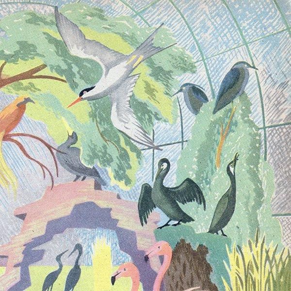 The Bird Pool դĻ 1948ǯ ꥹ ơץ ʪ Ļγ 1002