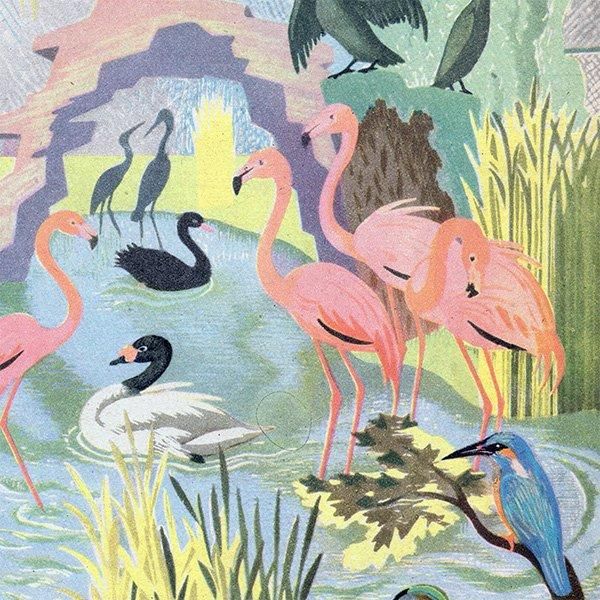 The Bird Pool դĻ 1948ǯ ꥹ ơץ ʪ Ļγ 1002