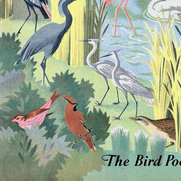 The Bird Pool դĻ 1948ǯ ꥹ ơץ ʪ Ļγ 1002