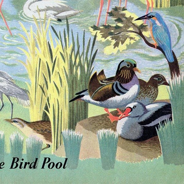 The Bird Pool դĻ 1948ǯ ꥹ ơץ ʪ Ļγ 1002