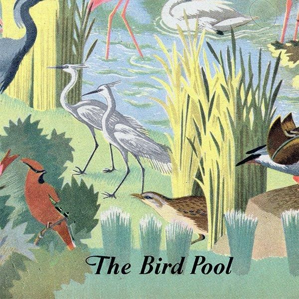 The Bird Pool դĻ 1948ǯ ꥹ ơץ ʪ Ļγ 1002