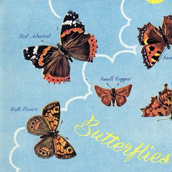 British Butterflies and Moths ѹĳȲ 1948ǯ ꥹ ơץ ʪ  1006