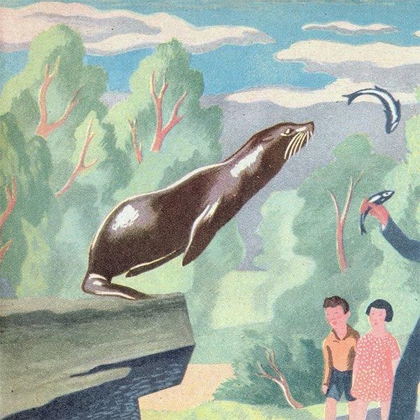 Seals and Sea-Lions at Feeding time ӥΥ饷ȥ 1948ǯ ꥹ ơץ 1010