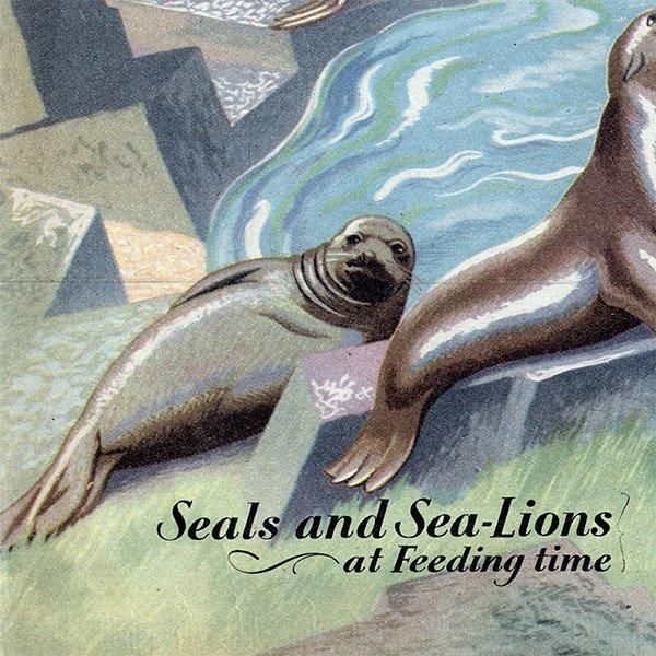 Seals and Sea-Lions at Feeding time ӥΥ饷ȥ 1948ǯ ꥹ ơץ 1010