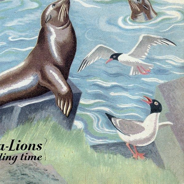 Seals and Sea-Lions at Feeding time ӥΥ饷ȥ 1948ǯ ꥹ ơץ 1010