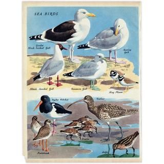 鳥（Birds） - インテリアにプラスしたくなる アンティーク と