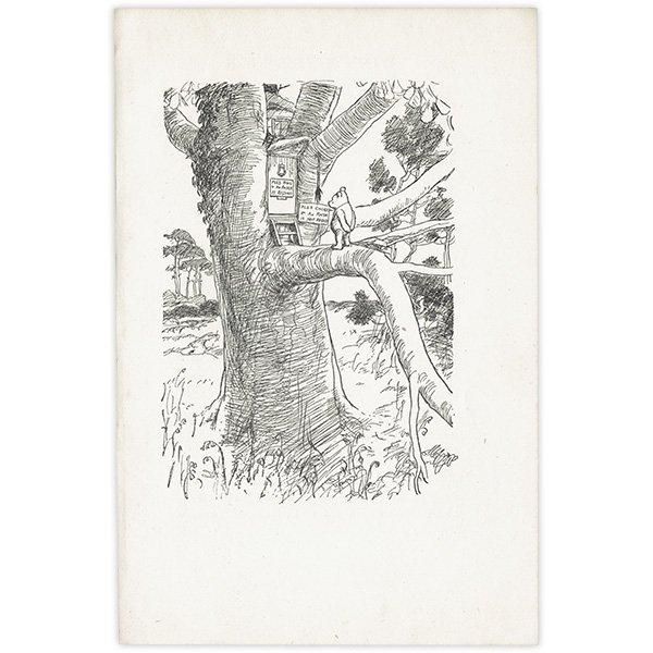 Winnie-the-Pooh  ޤΥס ơץ 1949ǯǤ W11015