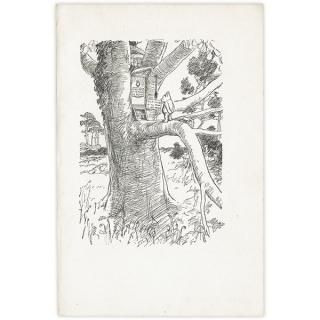 最終値下げ Classic Pooh ビンテージプリント くまのプーさん | クラシックプー 絵画