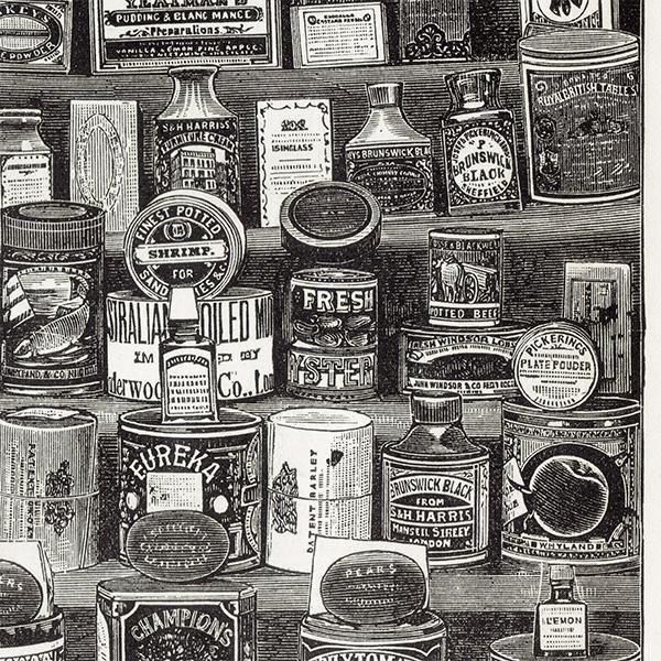 ߥӡȥβܤ 㤤֤ʤɡHOUSEHOLD REQUISITES 1905ǯ ꥹƥץ 0151