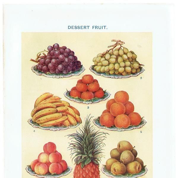 ߥӡȥβܤ ե롼 DESSERT FRUIT 1923ǯ ꥹƥץ 0163