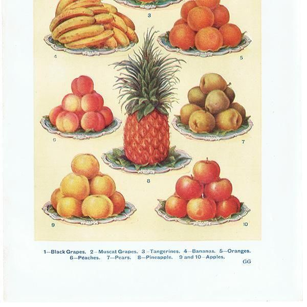 ߥӡȥβܤ ե롼 DESSERT FRUIT 1923ǯ ꥹƥץ 0163