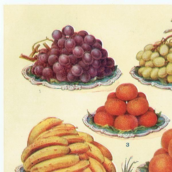 ߥӡȥβܤ ե롼 DESSERT FRUIT 1923ǯ ꥹƥץ 0163