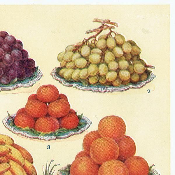 ߥӡȥβܤ ե롼 DESSERT FRUIT 1923ǯ ꥹƥץ 0163